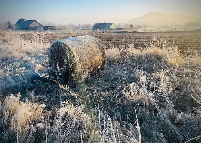 Wataha Pod Basztami - Wadera - Domki Caloroczne