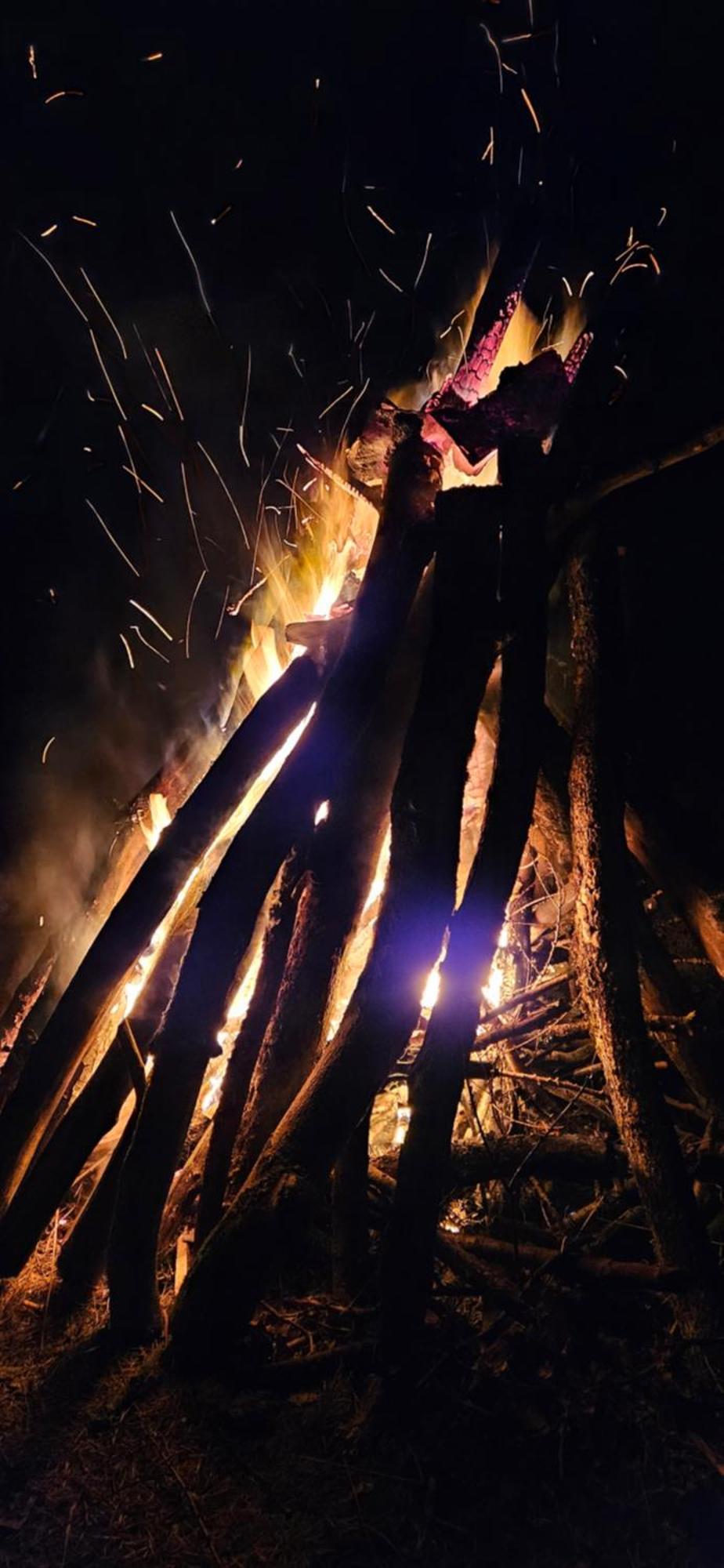 Wataha Pod Basztami - Beta - Caloroczne *