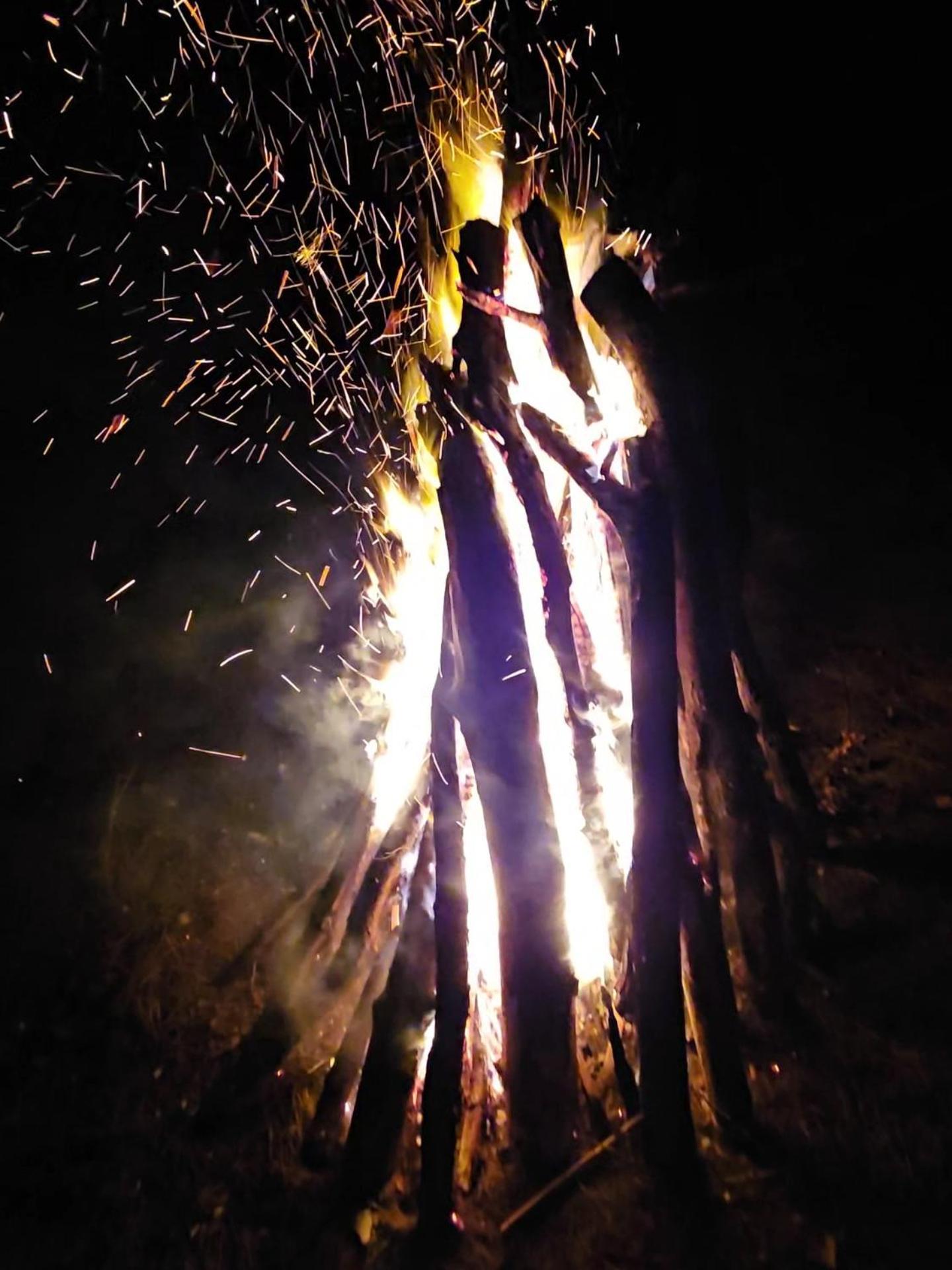 Wataha Pod Basztami - Wadera - Caloroczne